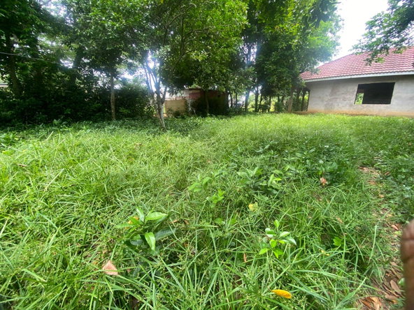 Fourteenth image of Old Porus Road Manchester in Porus, Manchester, Jamaica - property is For Sale