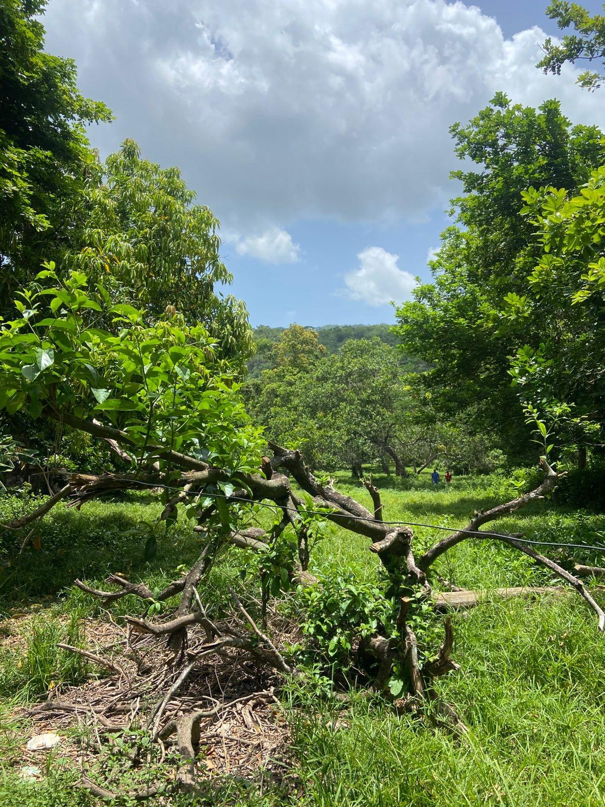 Unfinished-Home-for-Sale-in-Porus-Manchester-Jamaica-90-Complete-House Fifteenth image of Old Porus Road Manchester in Porus, Manchester, Jamaica - property is For Sale