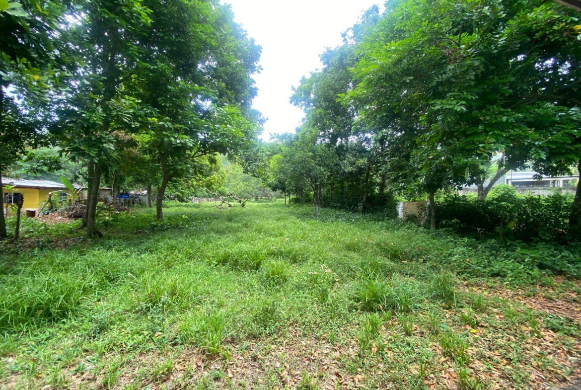 Sixteenth image of Old Porus Road Manchester in Porus, Manchester, Jamaica - property is For Sale