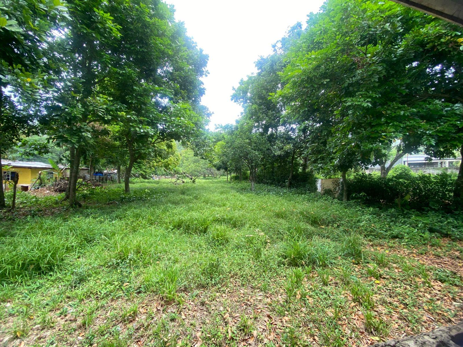 Unfinished-Home-for-Sale-in-Porus-Manchester-Jamaica-90-Complete-House Sixteenth image of Old Porus Road Manchester in Porus, Manchester, Jamaica - property is For Sale