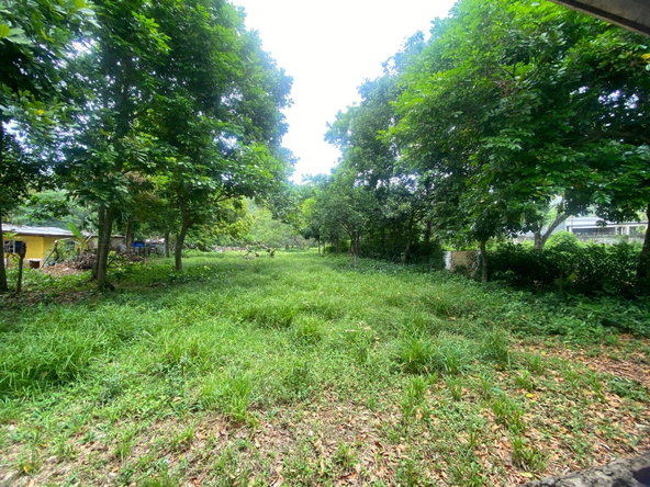 Sixteenth image of Old Porus Road Manchester in Porus, Manchester, Jamaica - property is For Sale