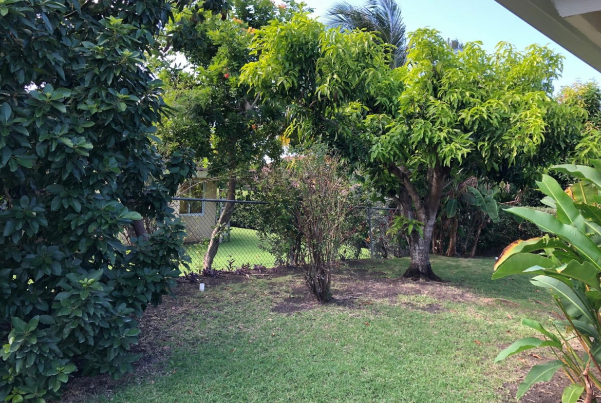 Fourth image of 321 Guava Road in Richmond, St. Ann, Jamaica - property is For Rent