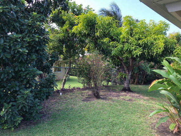 Fourth image of 321 Guava Road in Richmond, St. Ann, Jamaica - property is For Rent