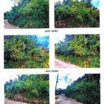 First image of Lot 2- Chudleigh in Christiana, Manchester, Jamaica - property is For Sale