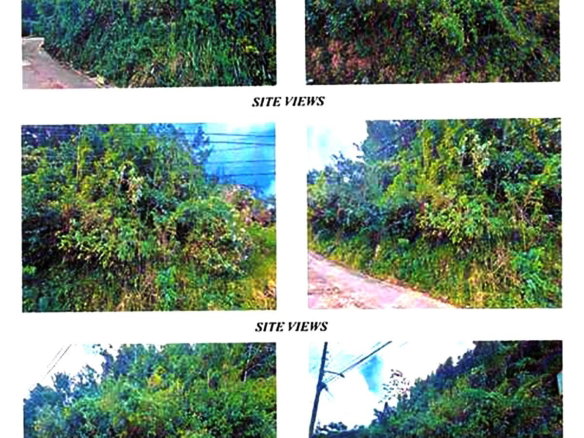 First image of Lot 2- Chudleigh in Christiana, Manchester, Jamaica - property is For Sale