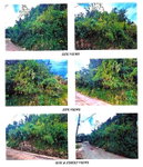 First image of Lot 2- Chudleigh in Christiana, Manchester, Jamaica - property is For Sale