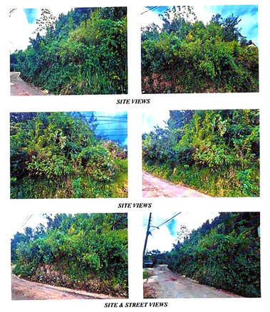 First image of Lot 2- Chudleigh in Christiana, Manchester, Jamaica - property is For Sale