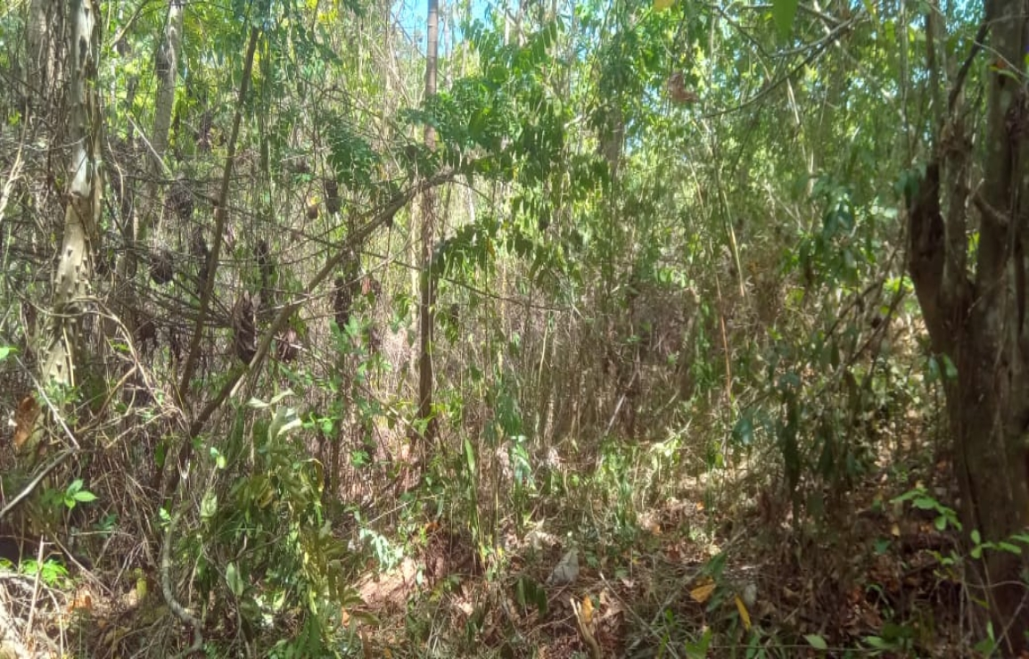 Second image of 246c Pietro Close,cardiff Hall in Runaway Bay, St. Ann, Jamaica - property is For Sale