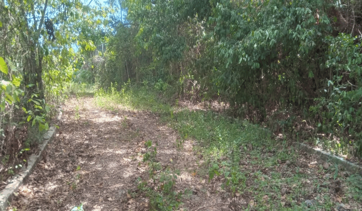 Third image of 246c Pietro Close,cardiff Hall in Runaway Bay, St. Ann, Jamaica - property is For Sale