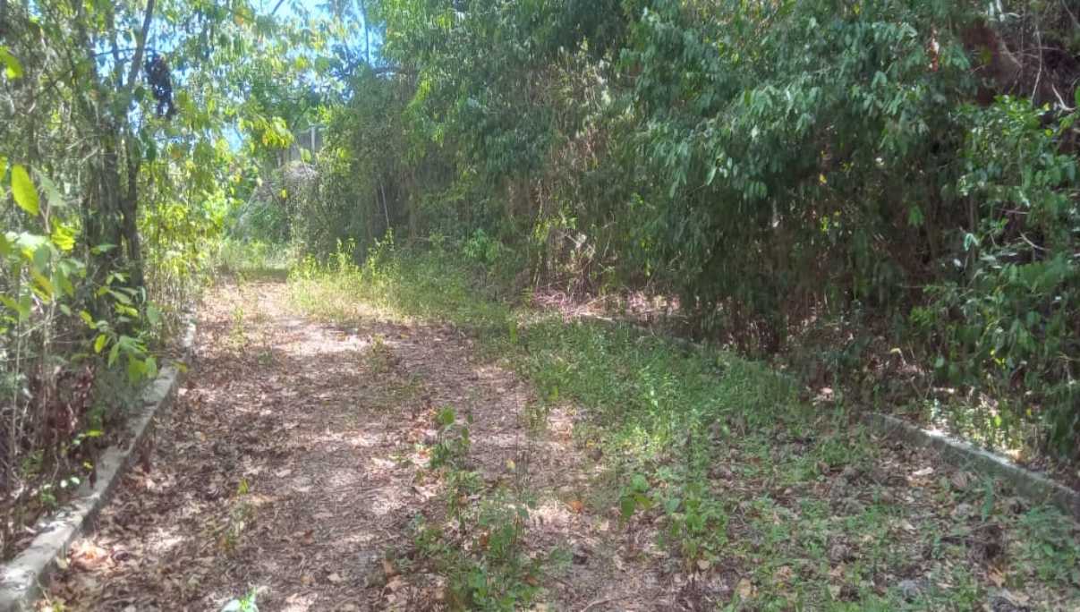 Third image of 246c Pietro Close,cardiff Hall in Runaway Bay, St. Ann, Jamaica - property is For Sale
