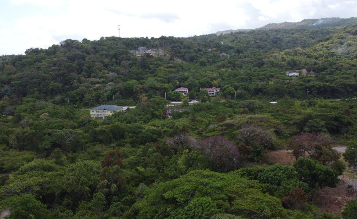 Fourteenth image of 115- Cardiff Hall in Runaway Bay, St. Ann, Jamaica - property is For Sale