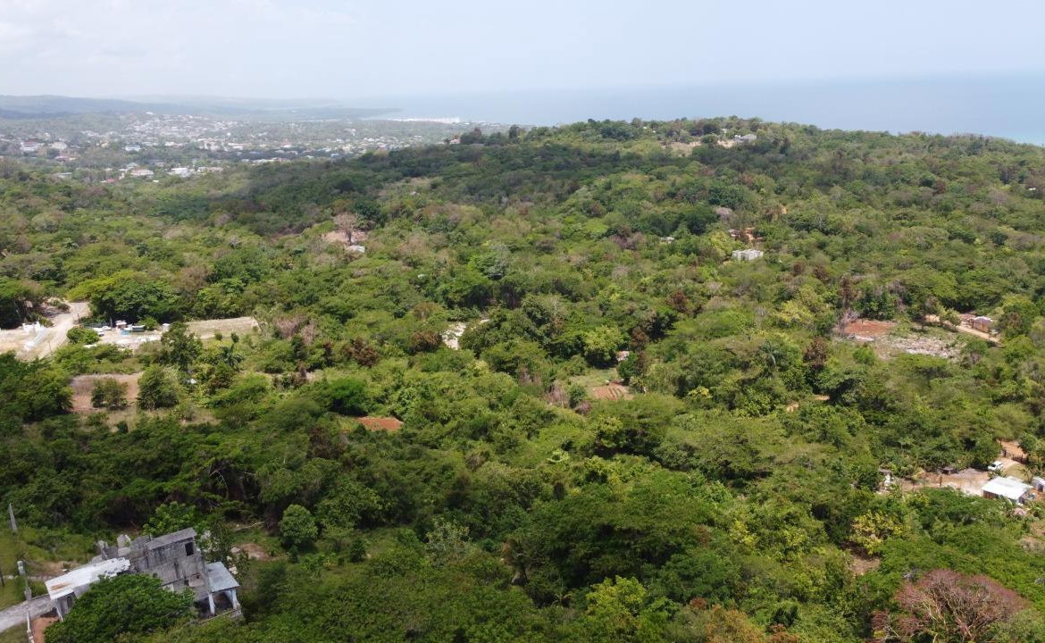 Eighteenth image of 115- Cardiff Hall in Runaway Bay, St. Ann, Jamaica - property is For Sale