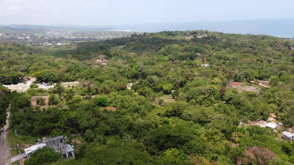 Eighteenth image of 115- Cardiff Hall in Runaway Bay, St. Ann, Jamaica - property is For Sale