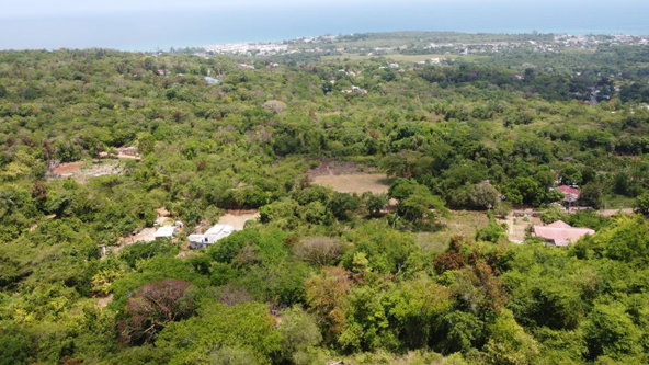 Nineteenth image of 115- Cardiff Hall in Runaway Bay, St. Ann, Jamaica - property is For Sale