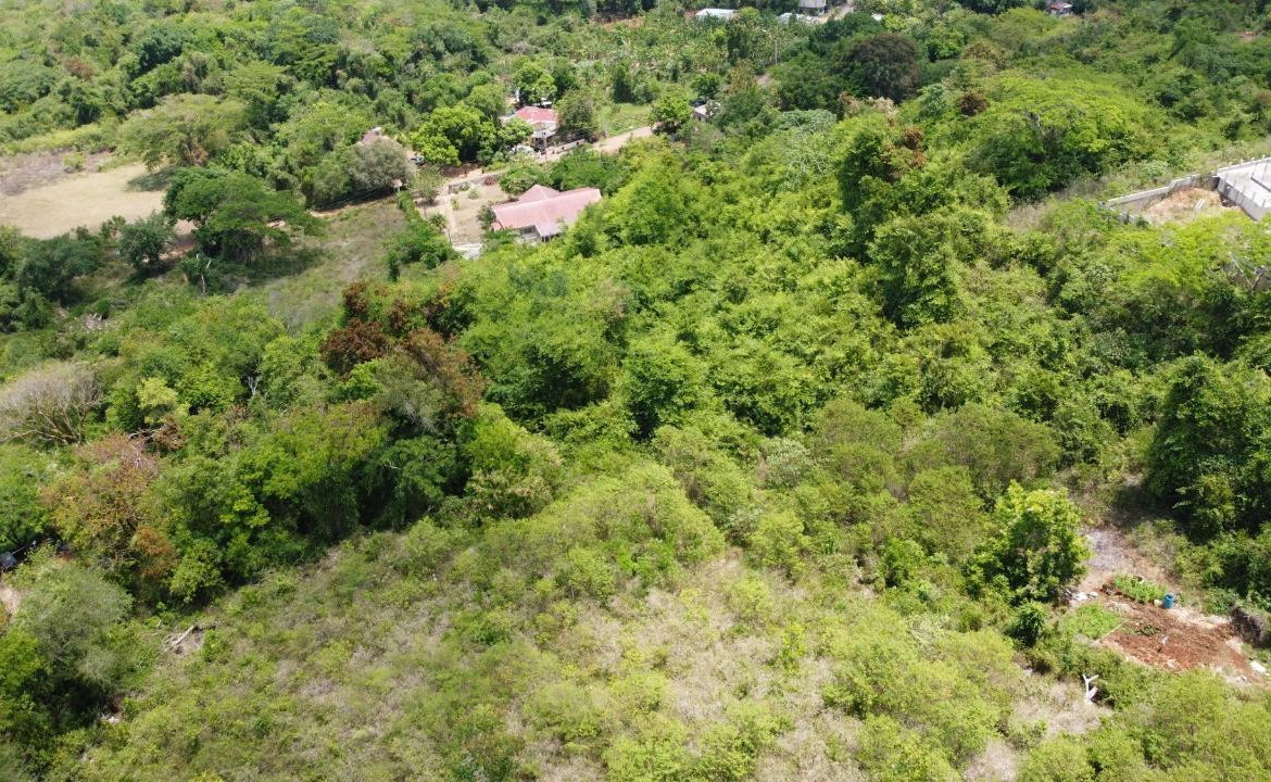 Twenty-Second image of 115- Cardiff Hall in Runaway Bay, St. Ann, Jamaica - property is For Sale