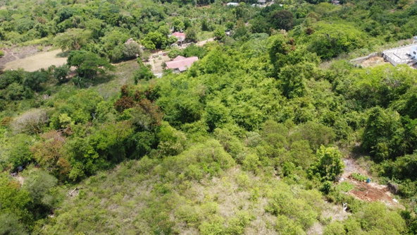 Twenty-Second image of 115- Cardiff Hall in Runaway Bay, St. Ann, Jamaica - property is For Sale