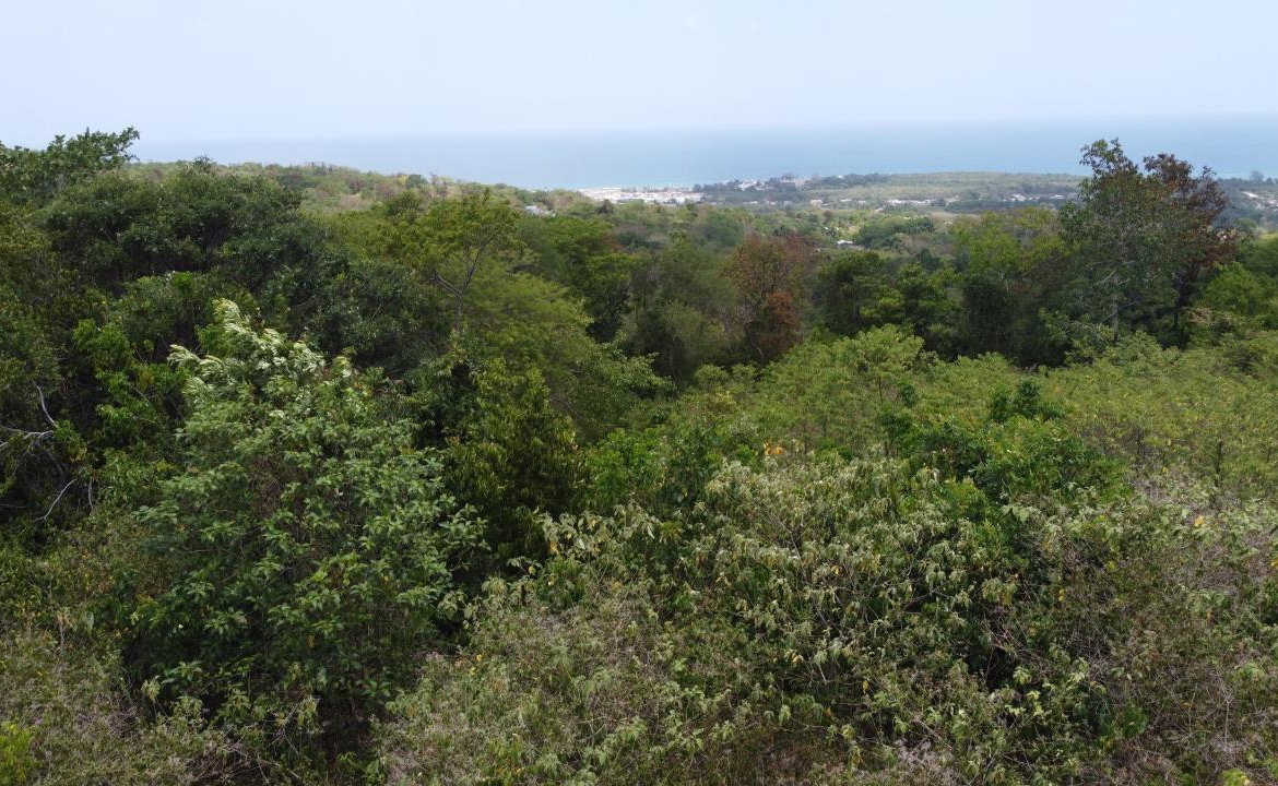 Fifth image of 115- Cardiff Hall in Runaway Bay, St. Ann, Jamaica - property is For Sale