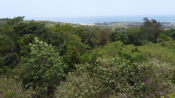 Fifth image of 115- Cardiff Hall in Runaway Bay, St. Ann, Jamaica - property is For Sale