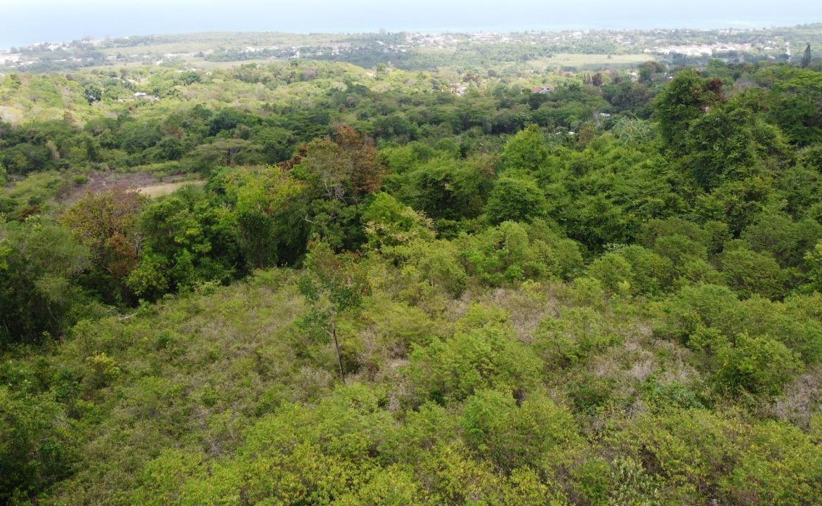 Seventh image of 115- Cardiff Hall in Runaway Bay, St. Ann, Jamaica - property is For Sale
