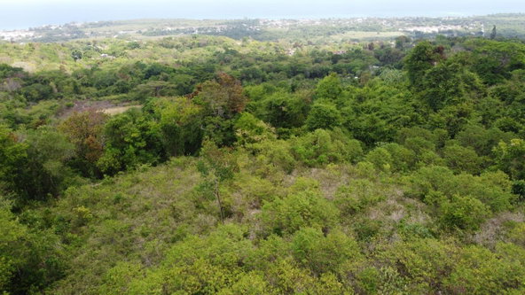 Seventh image of 115- Cardiff Hall in Runaway Bay, St. Ann, Jamaica - property is For Sale