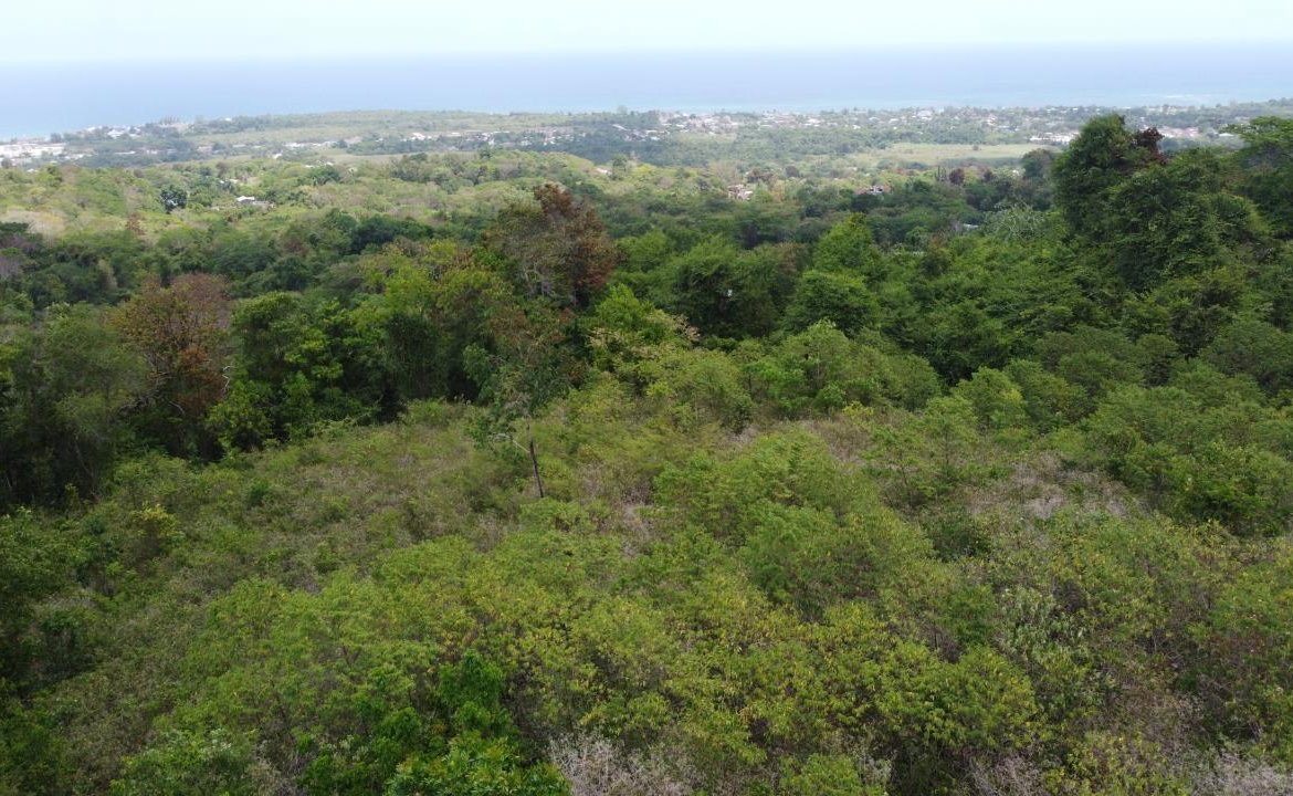Eighth image of 115- Cardiff Hall in Runaway Bay, St. Ann, Jamaica - property is For Sale