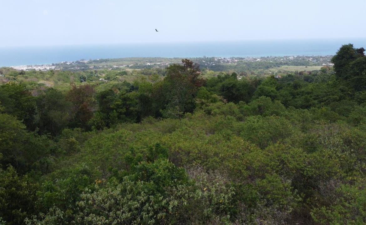 Ninth image of 115- Cardiff Hall in Runaway Bay, St. Ann, Jamaica - property is For Sale