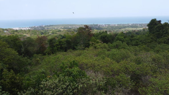 Ninth image of 115- Cardiff Hall in Runaway Bay, St. Ann, Jamaica - property is For Sale