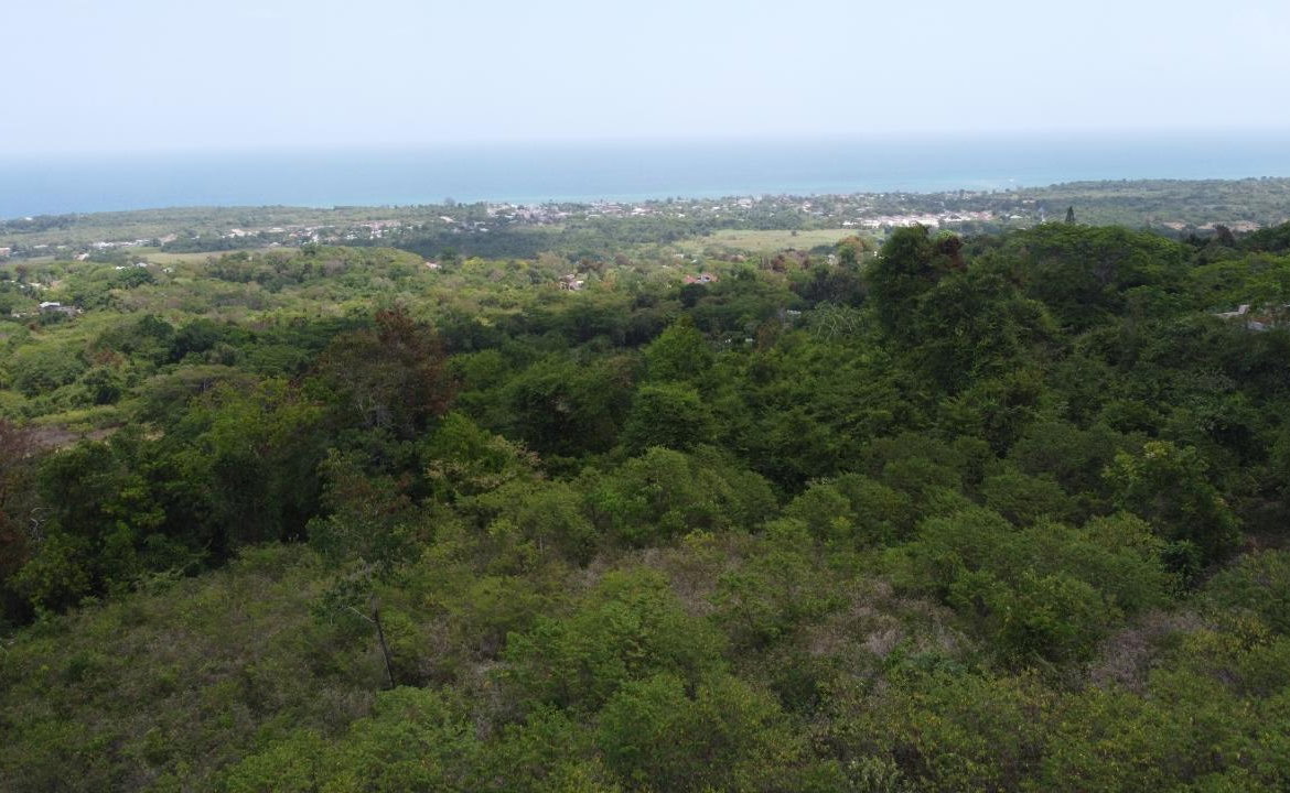 Tenth image of 115- Cardiff Hall in Runaway Bay, St. Ann, Jamaica - property is For Sale