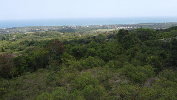 Tenth image of 115- Cardiff Hall in Runaway Bay, St. Ann, Jamaica - property is For Sale