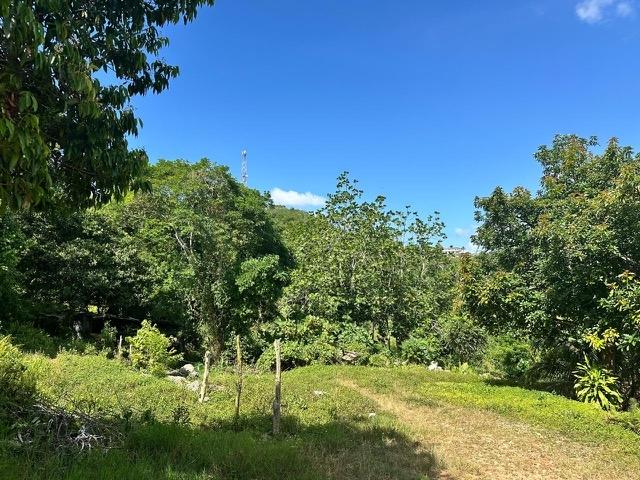 Second image of Lot #2-ogle Claremont in Claremont, St. Ann, Jamaica - property is For Sale
