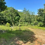 First image of Lot #2-ogle Claremont in Claremont, St. Ann, Jamaica - property is For Sale