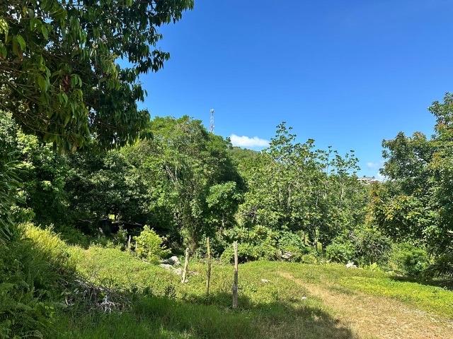 Third image of Lot #2-ogle Claremont in Claremont, St. Ann, Jamaica - property is For Sale