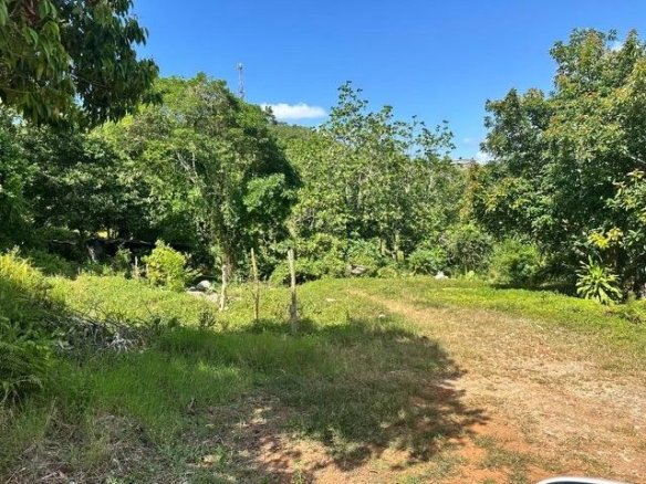 First image of Lot #2-ogle Claremont in Claremont, St. Ann, Jamaica - property is For Sale