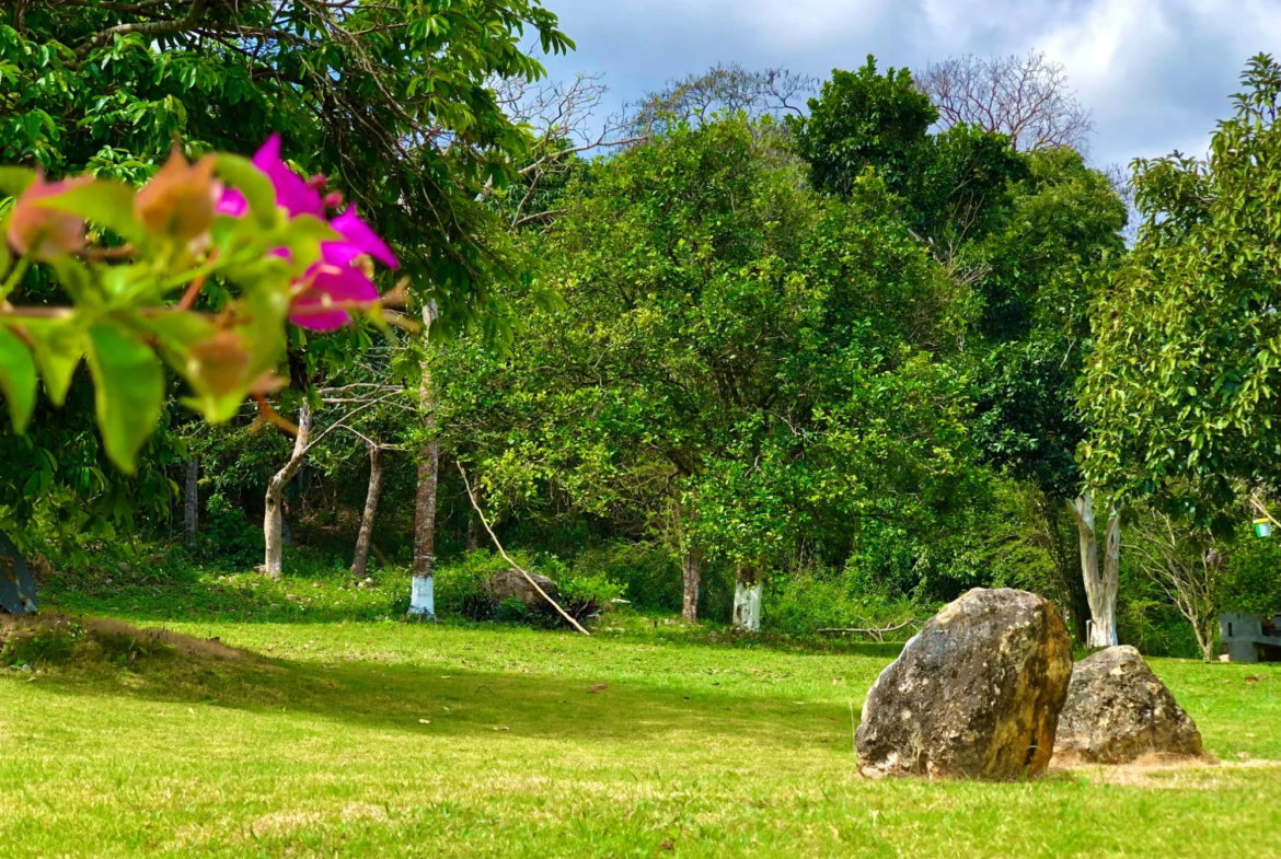 Ninth image of Apt 1-25 Hague & Clifton in HAGUE HOUSING SCHEME, Trelawny, Jamaica - property is For Rent