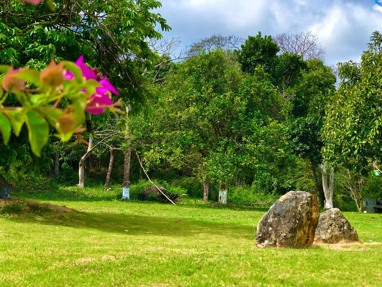 Ninth image of Apt 1-25 Hague & Clifton in HAGUE HOUSING SCHEME, Trelawny, Jamaica - property is For Rent