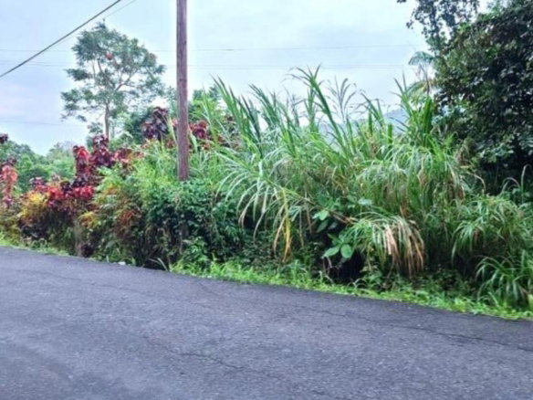 First image of Warwick Castle Hyde Park in Galina, St. Mary, Jamaica - property is For Sale