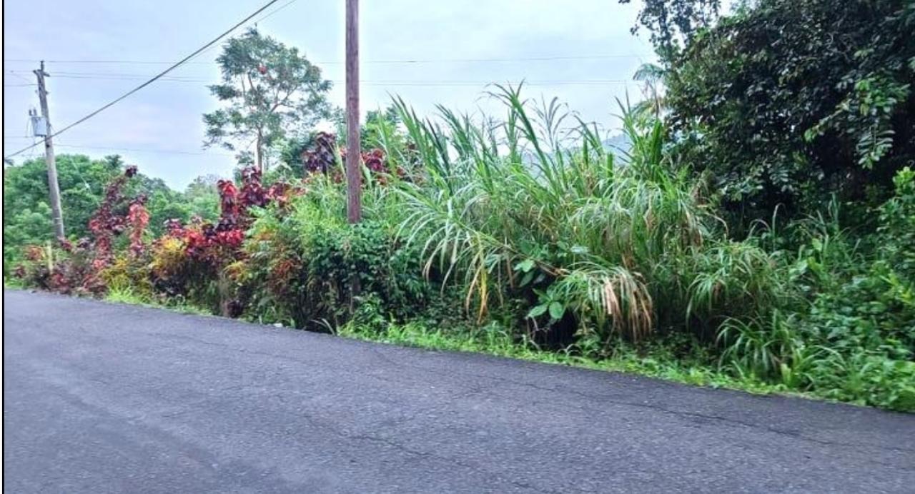First image of Warwick Castle Hyde Park in Galina, St. Mary, Jamaica - property is For Sale