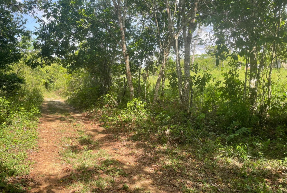 Second image of 23 Homecastle, Stewart Town in Discovery Bay, St. Ann, Jamaica - property is For Sale