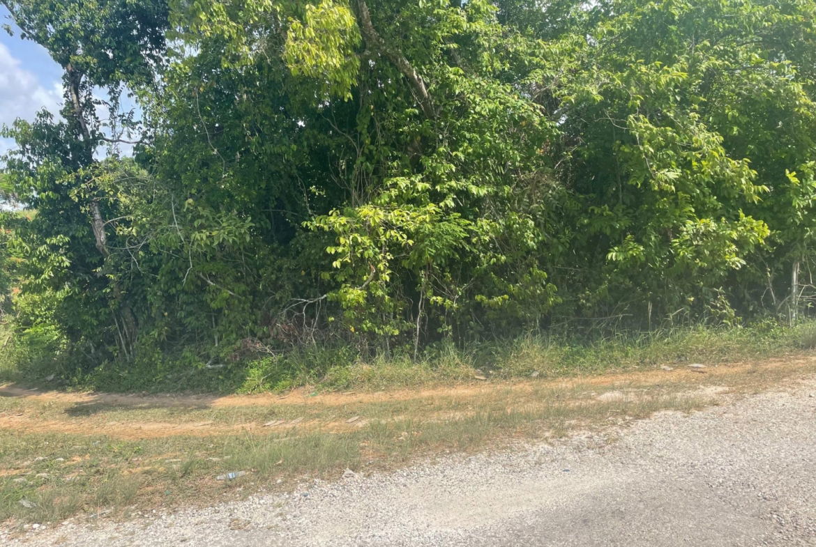 Third image of 23 Homecastle, Stewart Town in Discovery Bay, St. Ann, Jamaica - property is For Sale