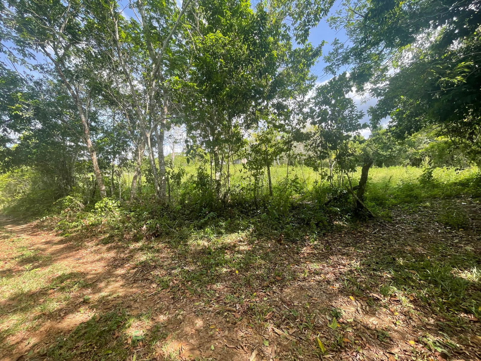 Sixth image of 23 Homecastle, Stewart Town in Discovery Bay, St. Ann, Jamaica - property is For Sale