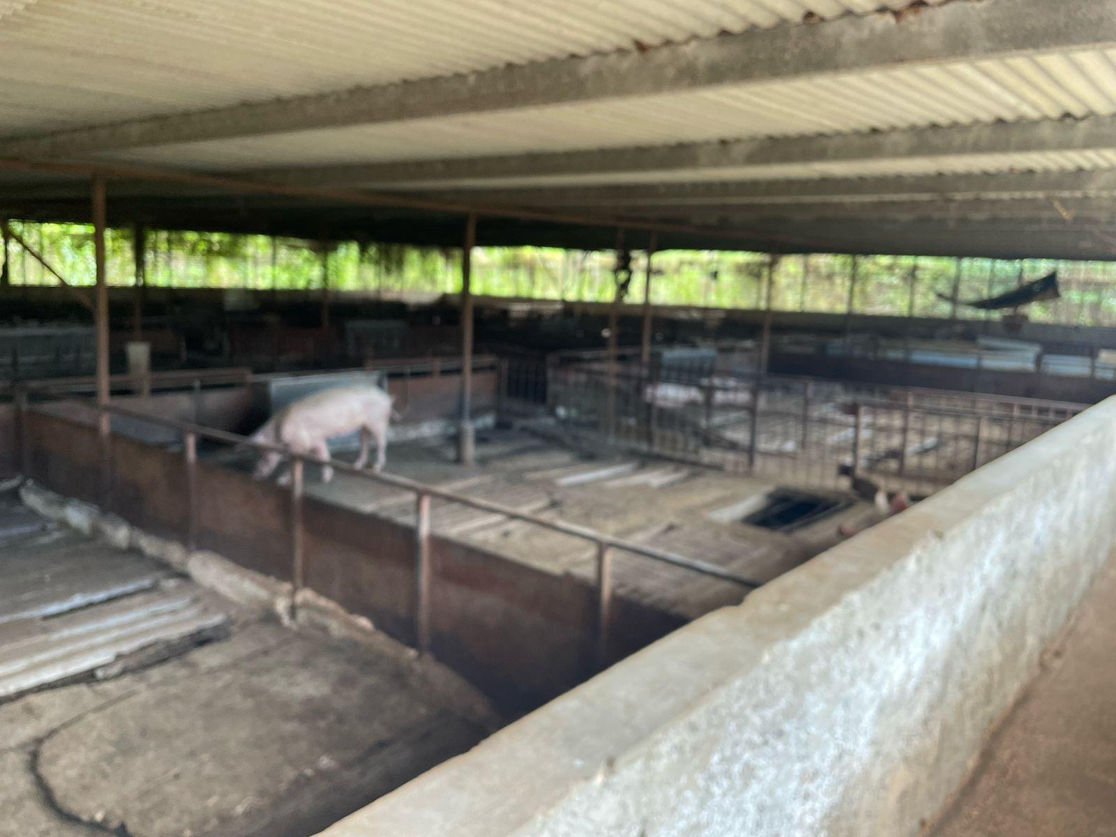Thirteenth image of Lot 76 Fletcher Barry And Lloyds in KITSON TOWN, St. Catherine, Jamaica - property is For Sale