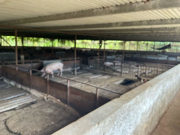 Thirteenth image of Lot 76 Fletcher Barry And Lloyds in KITSON TOWN, St. Catherine, Jamaica - property is For Sale