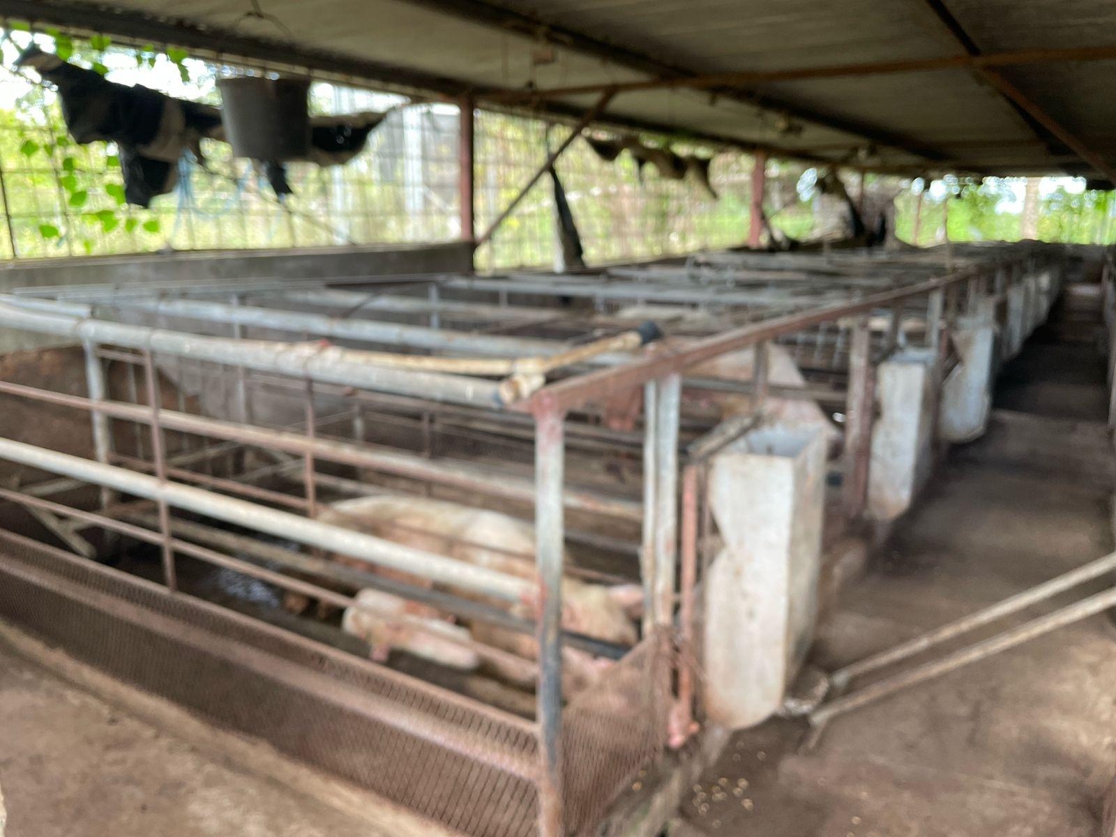 Fifteenth image of Lot 76 Fletcher Barry And Lloyds in KITSON TOWN, St. Catherine, Jamaica - property is For Sale