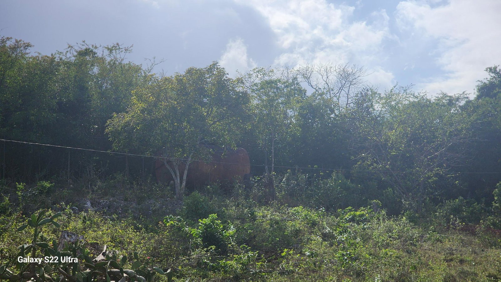Tenth image of Lot 76 Fletcher Barry And Lloyds in KITSON TOWN, St. Catherine, Jamaica - property is For Sale
