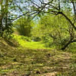 First image of Rothsey Cove Harding Hall in Green Island, Hanover, Jamaica - property is For Rent