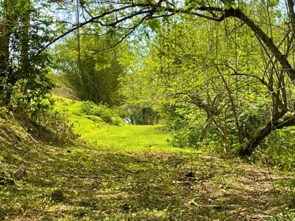 First image of Rothsey Cove Harding Hall in Green Island, Hanover, Jamaica - property is For Rent