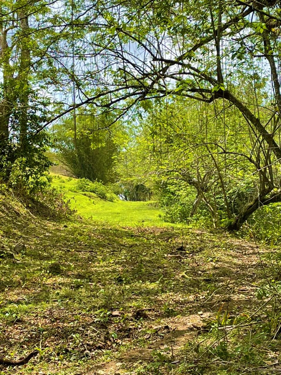 First image of Rothsey Cove Harding Hall in Green Island, Hanover, Jamaica - property is For Rent