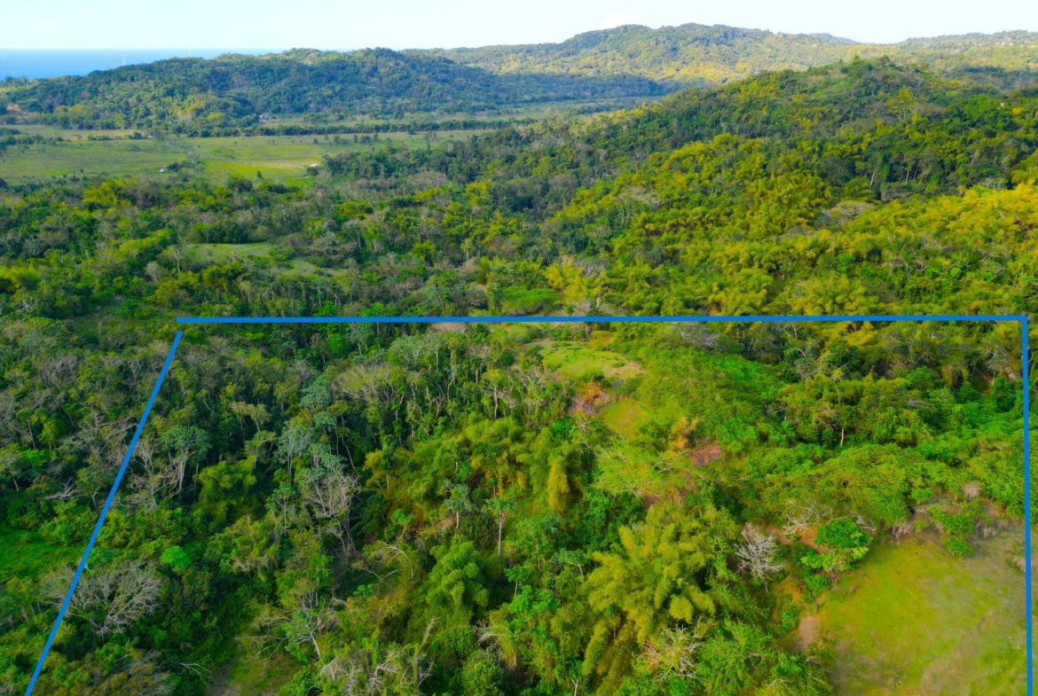 Second image of Rothsey Cove Harding Hall in Green Island, Hanover, Jamaica - property is For Rent