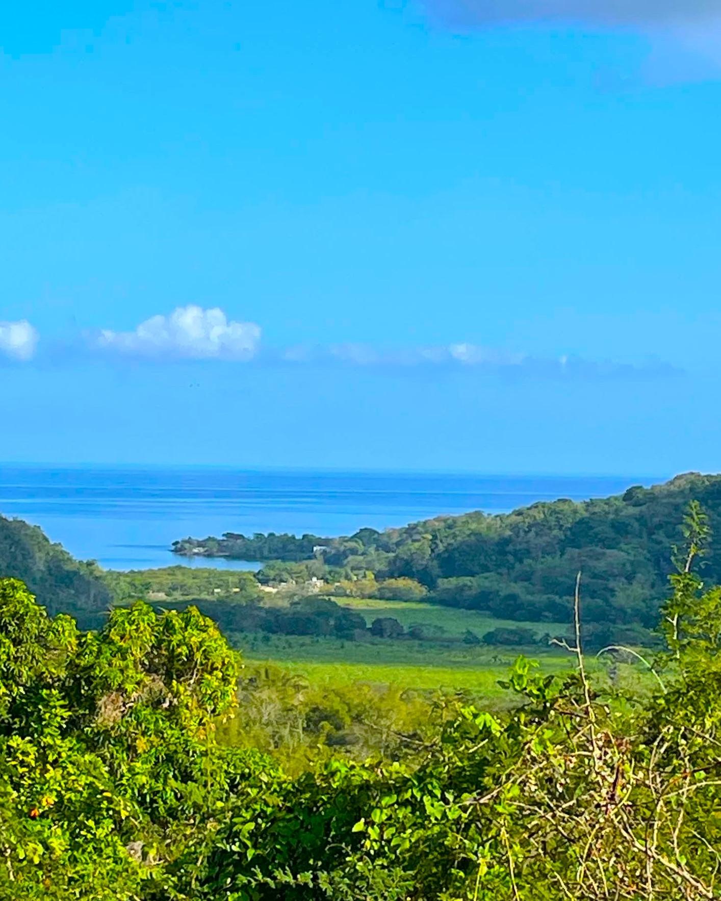 Third image of Rothsey Cove Harding Hall in Green Island, Hanover, Jamaica - property is For Rent