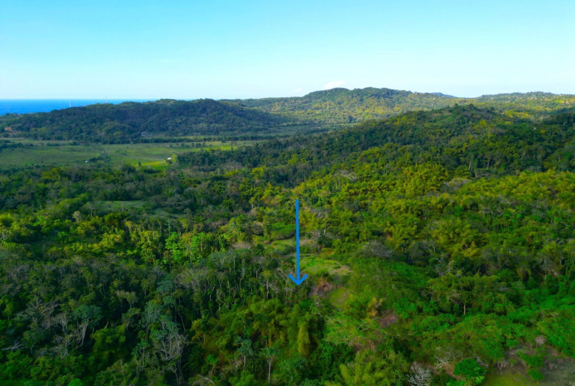 Fourth image of Rothsey Cove Harding Hall in Green Island, Hanover, Jamaica - property is For Rent